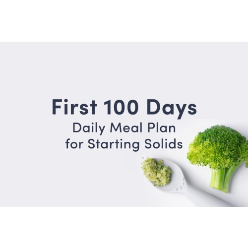 First 100 Days: Daily Meal Plan for Starting Solids - First Foods for Baby