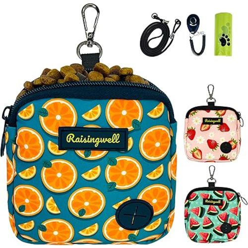 Waste Bag Holder (For diapering on the go)
