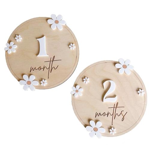 Baby Milestone, Boho Baby Milestone, Boho Wooden Daisy Flower Discs, Monthly Growth Markers, Photo Props