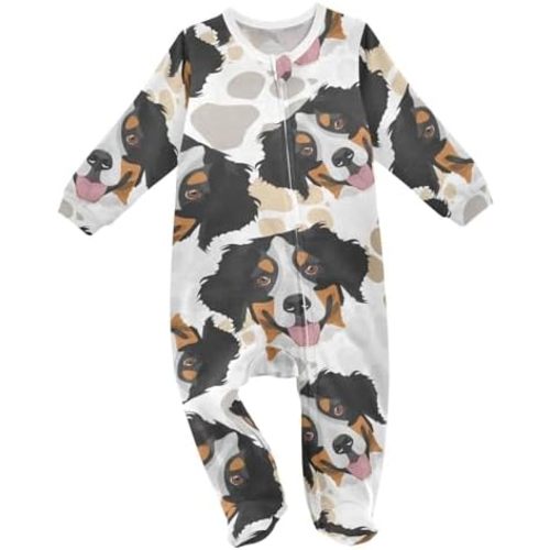 Bernese mountain dog onesie