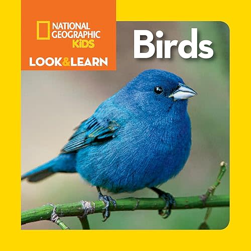 National Geographic Kids Look & Learn: Birds Board book – Picture Book, August 15, 2017
