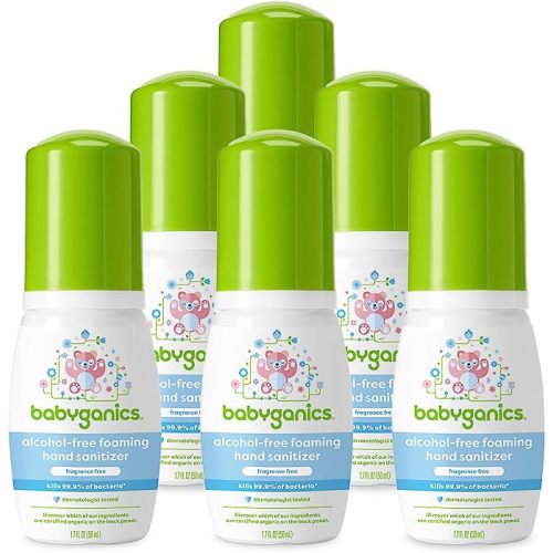 Babyganics Foaming Pump Hand Sanitizer, Alcohol Free, Travel Size, Fragrance Free, Kills 99.9% of Common Bacteria, Moisturizing, 1.69oz (Pack of 6) - 1.69 Fl Oz (Pack of 6)