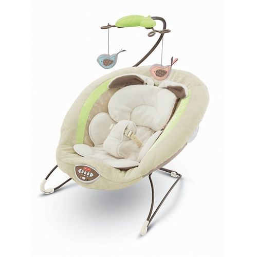 Fisher-Price® My Little Snugabunny Deluxe Bouncer in Green/Brown