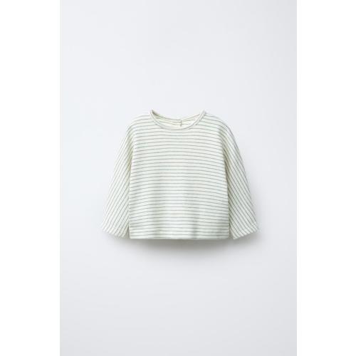 STRIPED T-SHIRT - Greenish | ZARA United States
