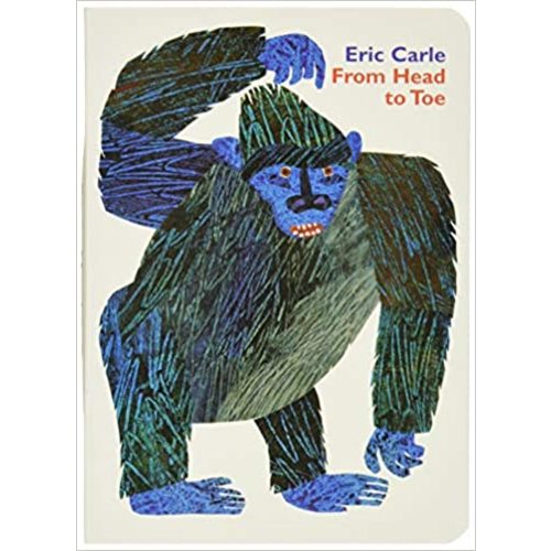 From Head to Toe Board Book