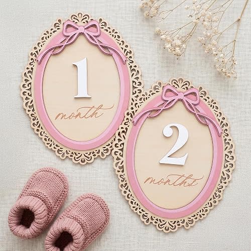 Monthly Baby Milestone Signs, 1–12 Month Photo Markers, Newborn Props, Growth Keepsake, Nursery Room Decor (D28)