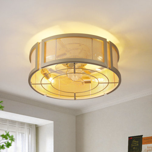 Bay Isle Home™ Attiana 20'' Ceiling Fan with Light Kit and Remote Control & Reviews | Wayfair
