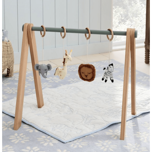 Safari Baby Gym Accessories