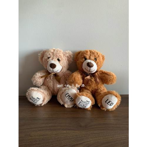 Big Sister Teddy Bear, Big Brother Bear, Personalized Sister Plush Bears, Personalized Brother bear, Sister Birth Announcement, Brother Gift