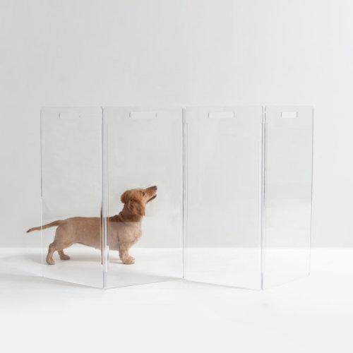 Clear Zig Zag Pet Gate
