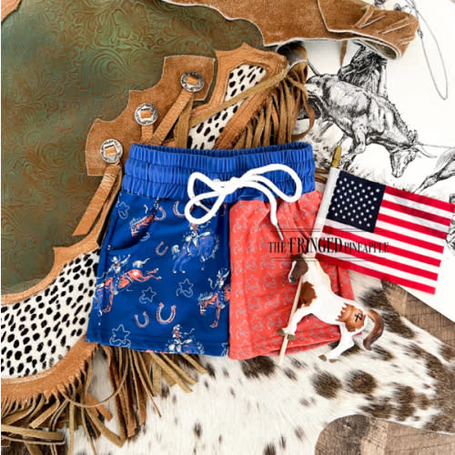 Color Block American Rodeo Swim Trunks (little kid)
