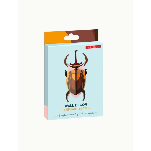 Elephant Beetle - Studio ROOF