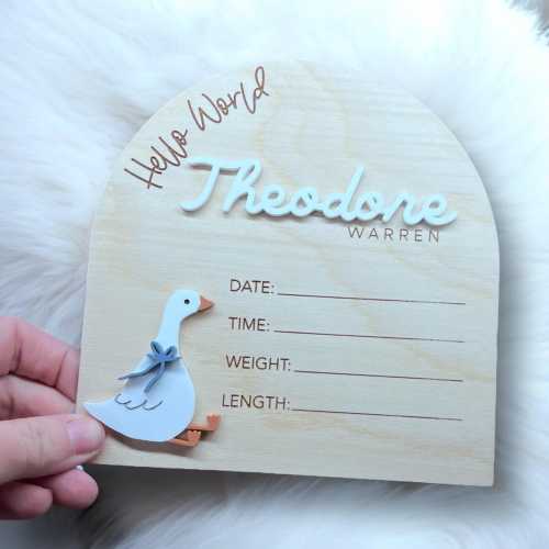 Coquette Goose milestone & baby stat sign