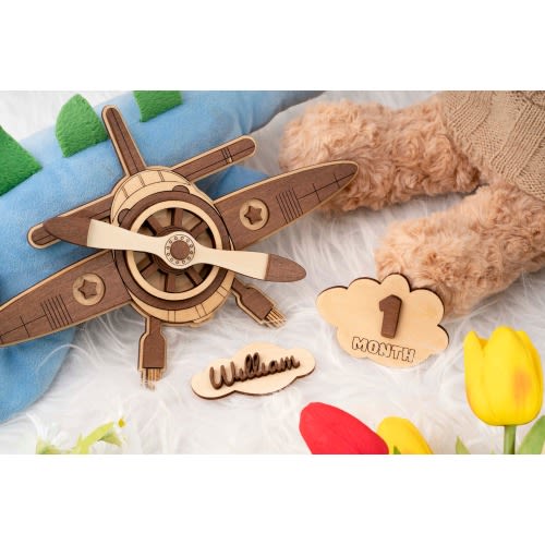 Baby Monthly Milestone Vintage Airplane. Baby Monthly Sign Set Airplane Decor. Personalized Monthly Sign. Photo Props Monthly Milestone.