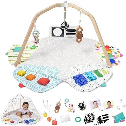 The Play Gym by Lovevery