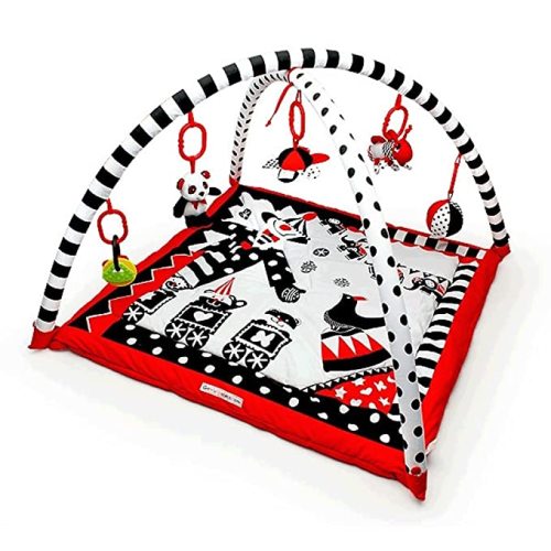 Portable Baby Play Gym and Activity Mat 0-6 Months, Easy Set Up and Take Down, High Contrast Graphics, Washable Fabric, Ideal for Tummy Time, Compact Size with Carrying Case by Genius Baby Toys