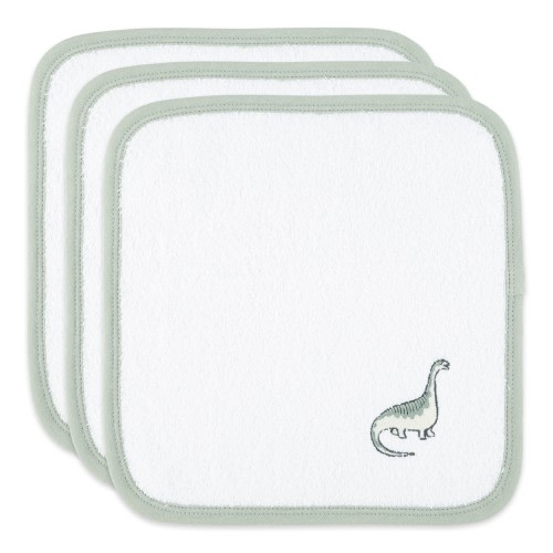Peanut Shell Wash Cloths Dino Adventure