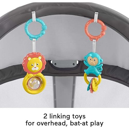 Fisher-Price Portable Bassinet On-The-Go Baby Dome, Travel Play Space with Developmental Newborn Toys & Canopy, Windmill