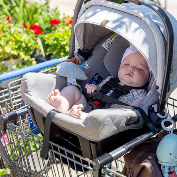 Totes Babies Car Seat Carrier