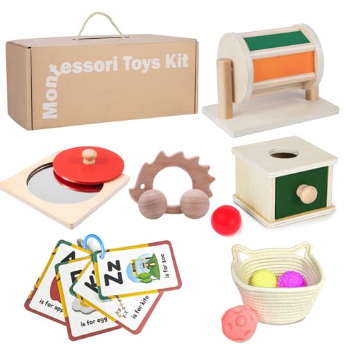 Montessori Educational Toys for Babies 7-12 Months, 7 in 1 Early Learning Educational Kit for Toddlers Gifts, Includes Spinning Drum, Permanent Box, Red Mirror Knob Puzzle, Hedgehog Rattle and More