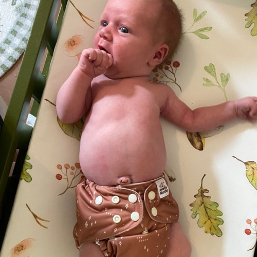 Diaper Cash Fund