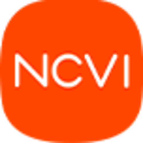 NCVI Breastmilk Cooler Bag with 2 Ice Packs 9509 | Black | NCVI