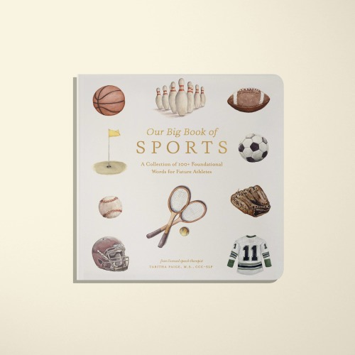 Our Big Book of Sports