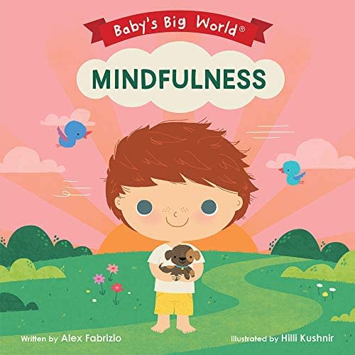 Mindfulness (Baby's Big World) Book