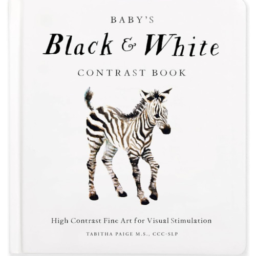Baby's Black and White Contrast Book: High-Contrast Art for Visual Stimulation at Tummy Time (Our Little Adventures Series)