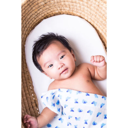 Organic Cotton Muslin Swaddle, Blue Butterfly - Malabar Baby | Maisonette