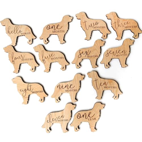 Golden Retriever Baby Milestone Plaques 7pcs 5in, Dog Nursery Gift, Custom Newborn Gift