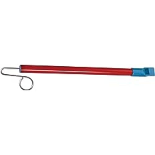 Amazon.com: Large Slide Whistle by Schylling