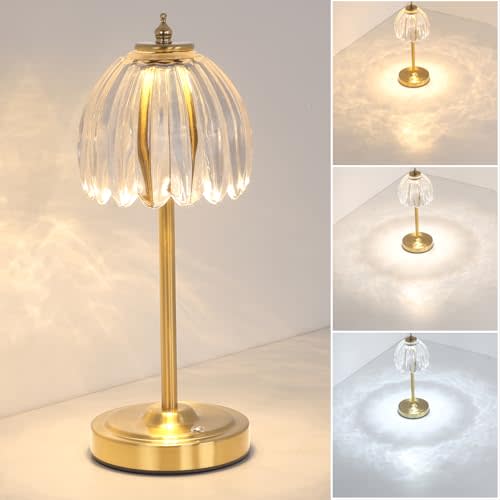 Shenmoyl Tulip Table Lamp with 5000mAh Battery & Touch Control, Cordless Small Table Lamp with 3 Colors, Dimmable Rechargeable Table Lamps for Living Room, Bedroom, Desk, Bedside (Transparent Tulip)