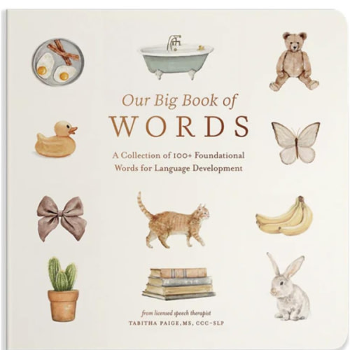 Our Big Book of First Words: A Collection of 100+ Foundational Words for Language Development (Tabitha Paige Children's Book Series)