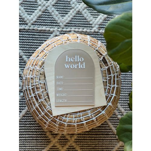 Hello World Baby Stat Sign | Marker Included | Acrylic Birth Announcement | Hello World Sign | Newborn Photo Prop | Baby Birth Announcement