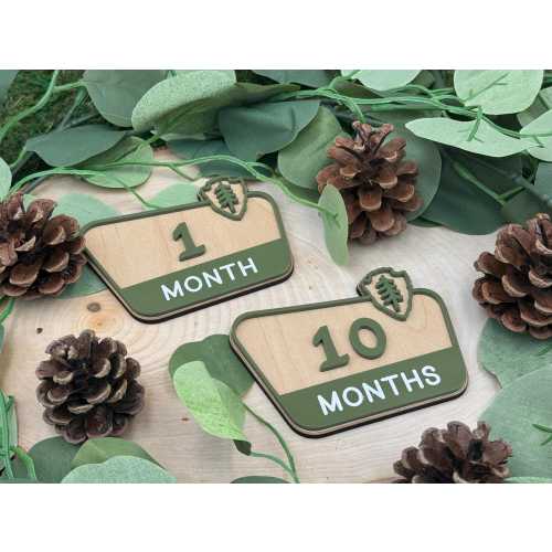 National Park Monthly Milestones, Baby Milestone Marker, National Park Baby Shower Gift, National Park Sign, Baby's First Year