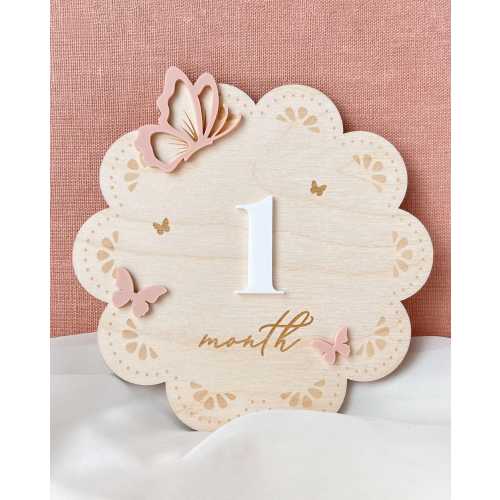 Milestone Marker Baby Girl Monthly Milestone Butterfly Name Sign for Hospital Girl Milestone Card Baby Shower Months Baby Milestone Sign