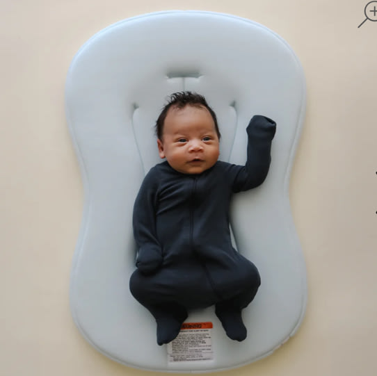 Infant Lounger Curve | Bluebell