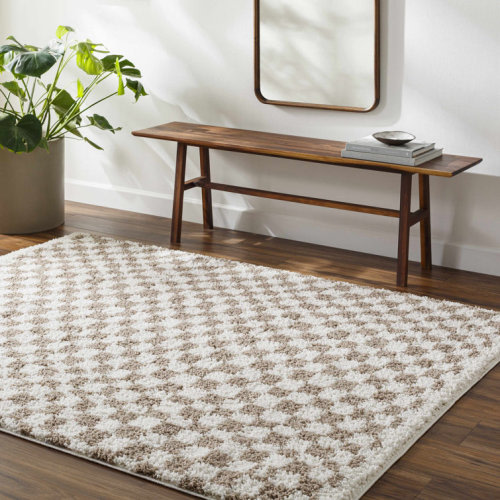 Cabble Checkered Indoor Rug
