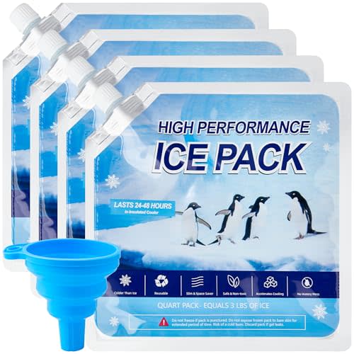 Omoojee Reusable Ice Packs for Cooler, 4 Pack Freezer Ice Packs for Lunch Boxes, Cooler Ice Packs for Camping Gear, Fishing