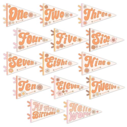 Lucy Darling Petit Milestone Pennants – 12 Felt Baby Monthly Banners for Boy or Girl – Photo Props, Nursery Decor, Felt Flag Set – Keepsake Gift for Newborn & Baby (Floral Flower Child)