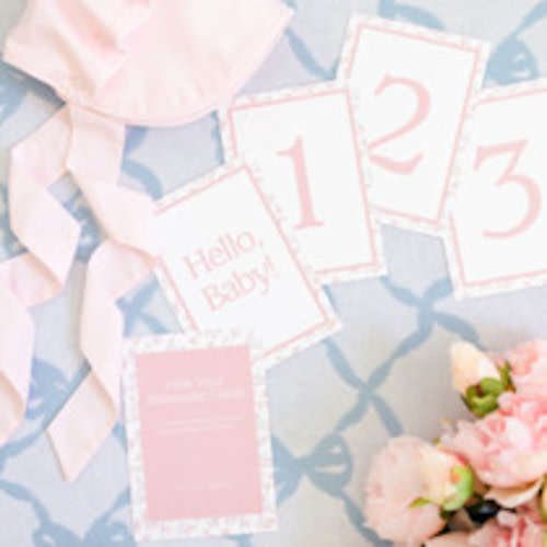 Petite Keep First Year Milestone Cards & Stand - Pink Petites