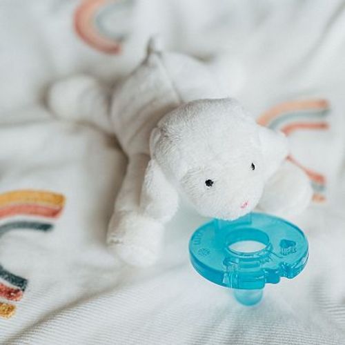 WubbaNub Pacifier