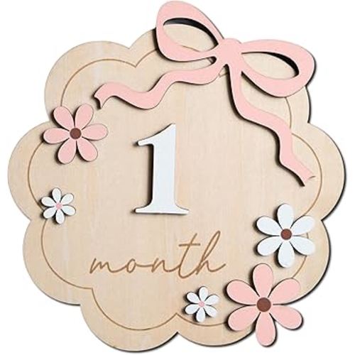 Baby Monthly Milestone Sign,1-12 Monthly Baby Milestone, Month Milestone Baby Girl, Baby Months Milestone, Newborn Photography Props Double-Sided (B11)