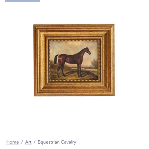 Equestrian Cavalry | Caitlin Wilson