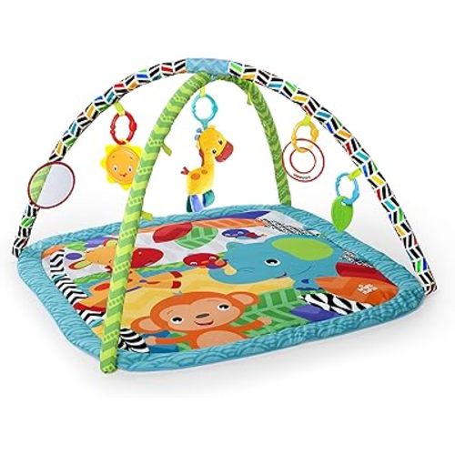 Bright Starts Zippy Zoo Activity Gym