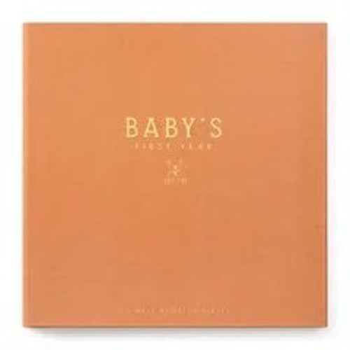Teddy Bears' Picnic Luxury Memory Baby Book – Lucy Darling