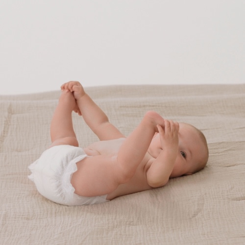 Coterie Diapers