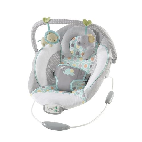 Amazon.com : Ingenuity Soothing Baby Bouncer Infant Seat with Vibrations, -Toy Bar & Sounds, 0-6 Months Up to 20 lbs (Pink Flora the Unicorn) : Baby