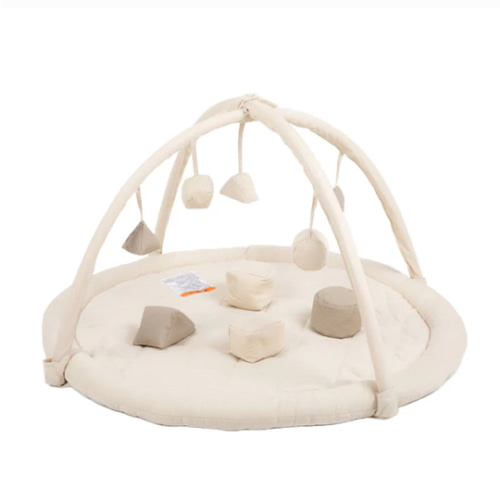 Play Gym